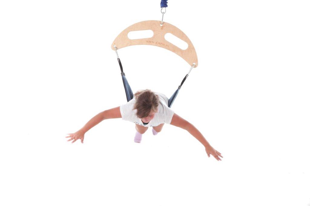 Sensory Therapeutic Frog Swing