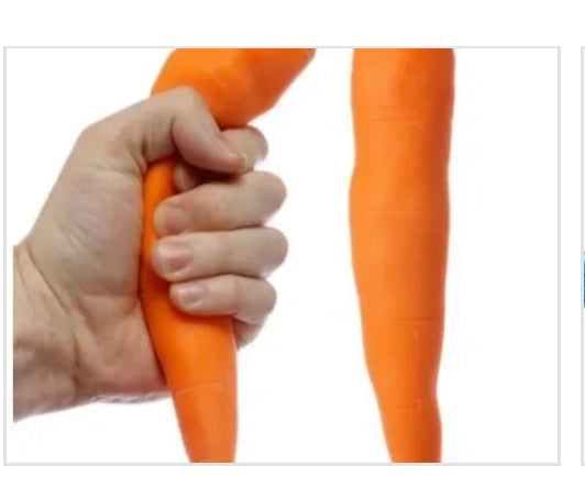 Stretchy Carrot - SENsory Toys4U