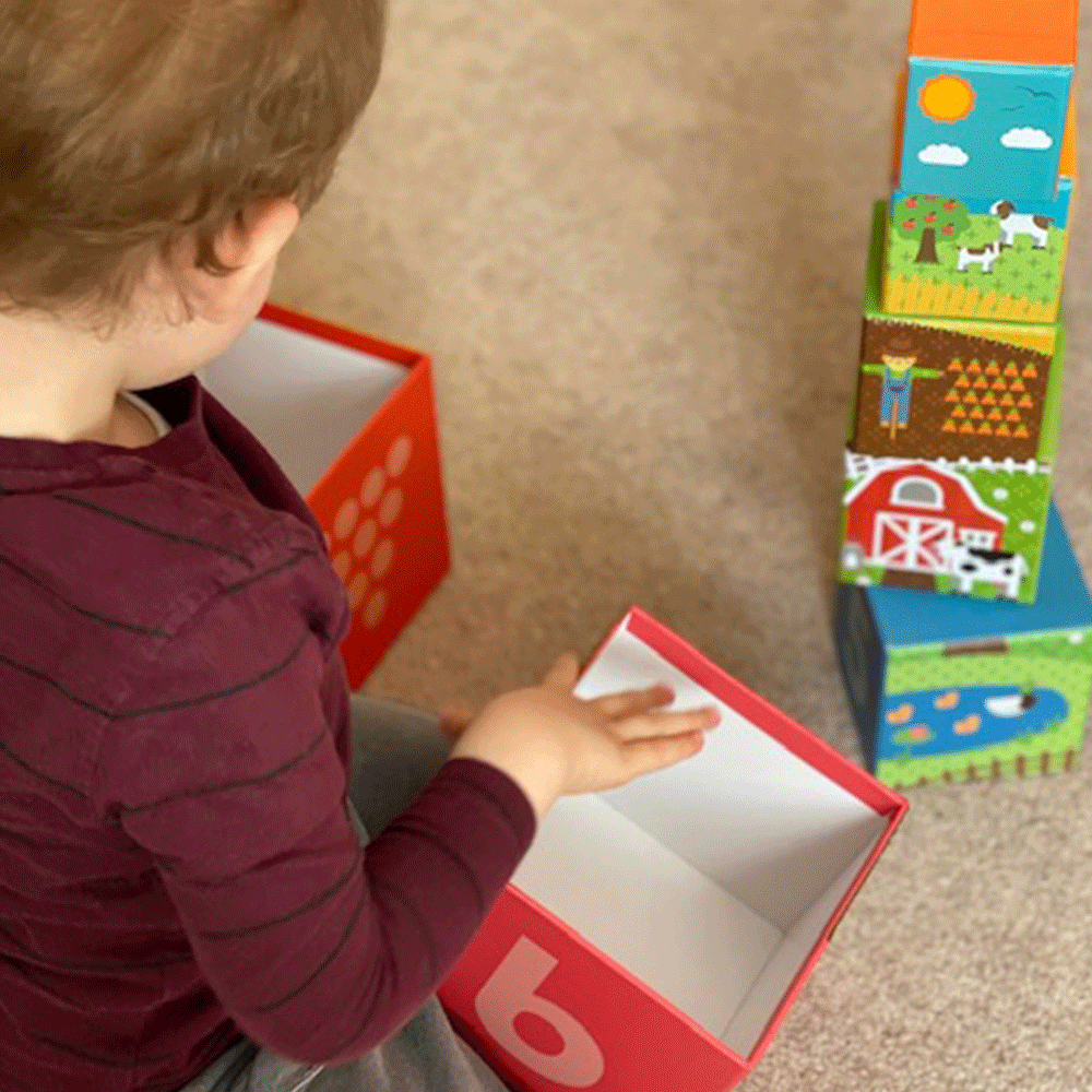 Farmyard Stacking Cubes - SENsory Toys4U