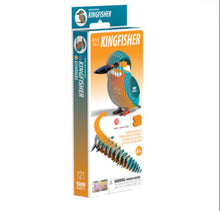 EUGY Kingfisher