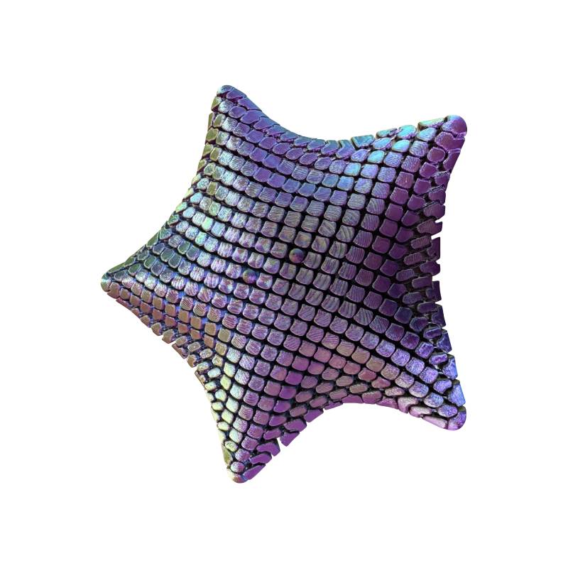 3D Starfish Fidget