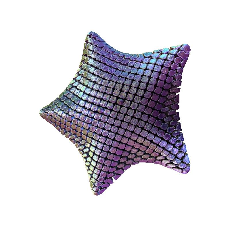 3D Starfish Fidget