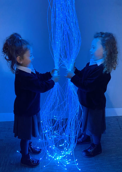 Fibre Optic Curtain with Tails With Swing 
Bracket (100 Fibre Tails)