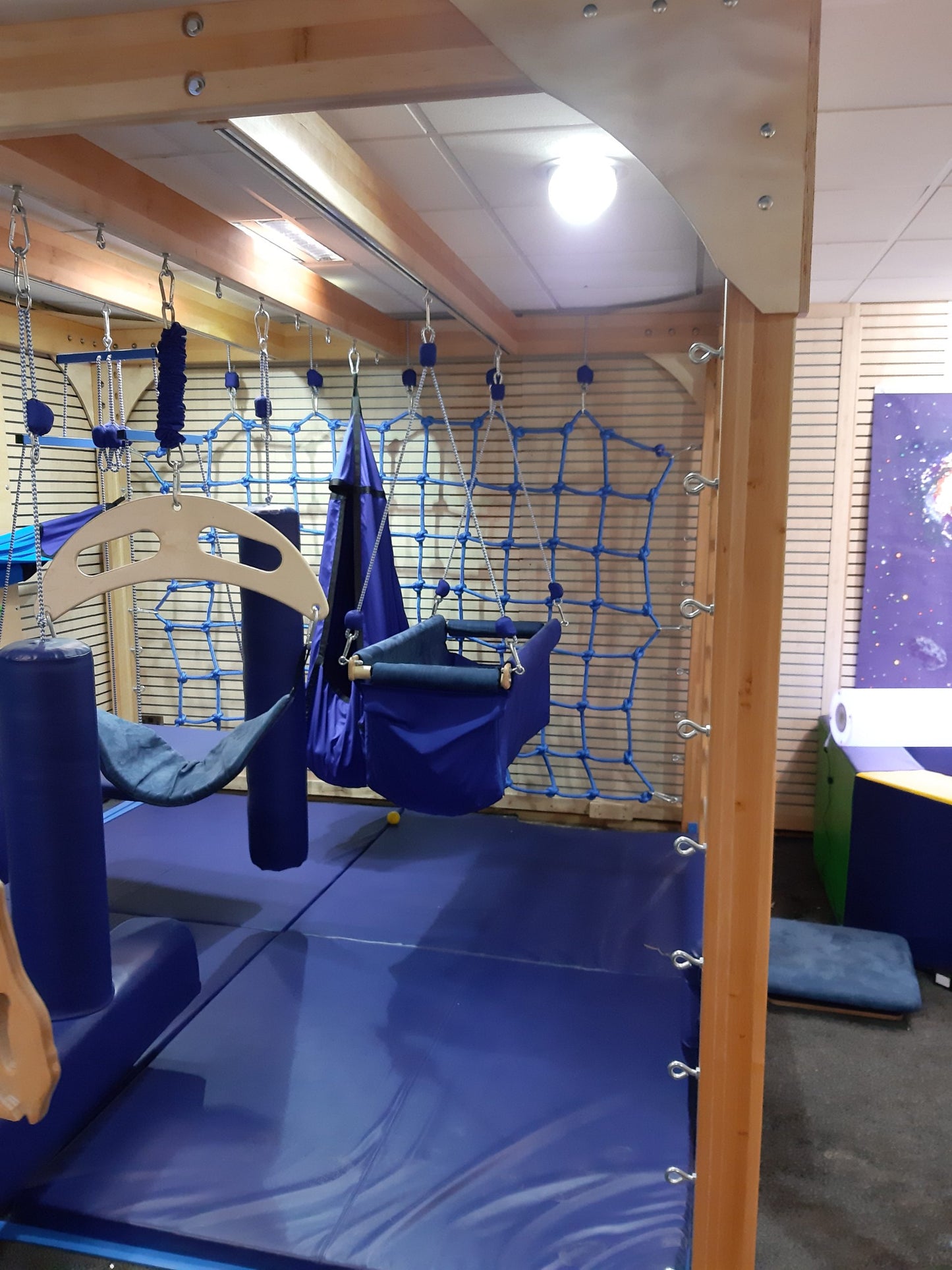 Sensory Integration Therapy SENSIS System Set