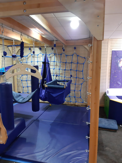 Sensory Integration Therapy SENSIS System Set