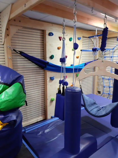 Sensory Integration Therapy SENSIS System Set