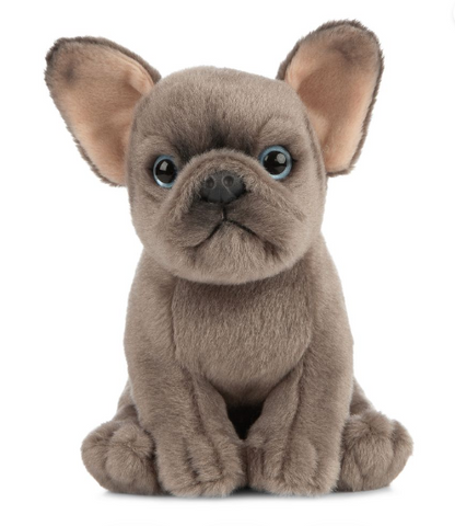 French Bulldog Puppy - SENsory Toys4U