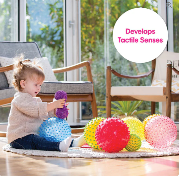 Edushape Sensory Shapes & Balls