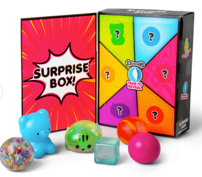 SCRUNCHEMS SURPRISE BOX