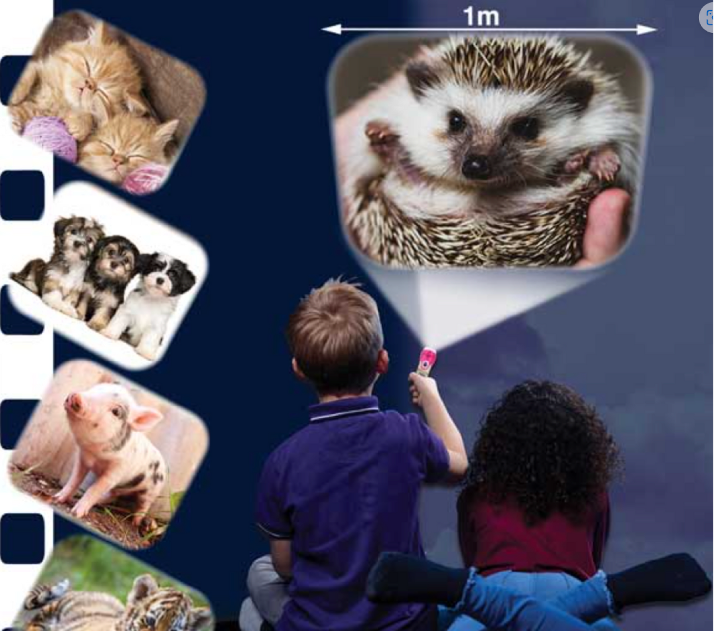 Cute & Cuddly Torch and Projector