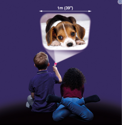 Cute & Cuddly Torch and Projector