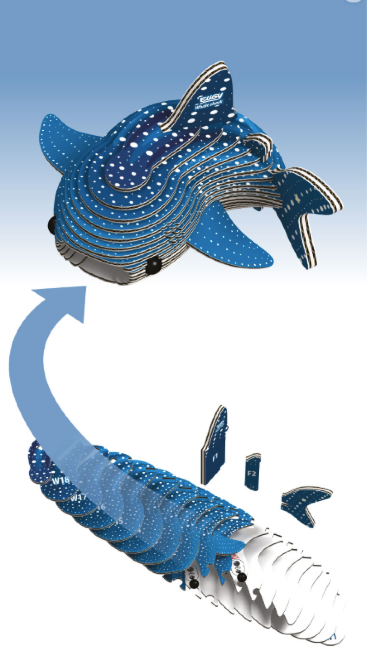 EUGY 3D Model Kit Whale Shark