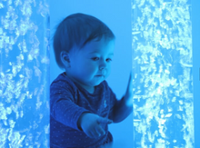 Touch Bubble Tube - SENsory Toys4U